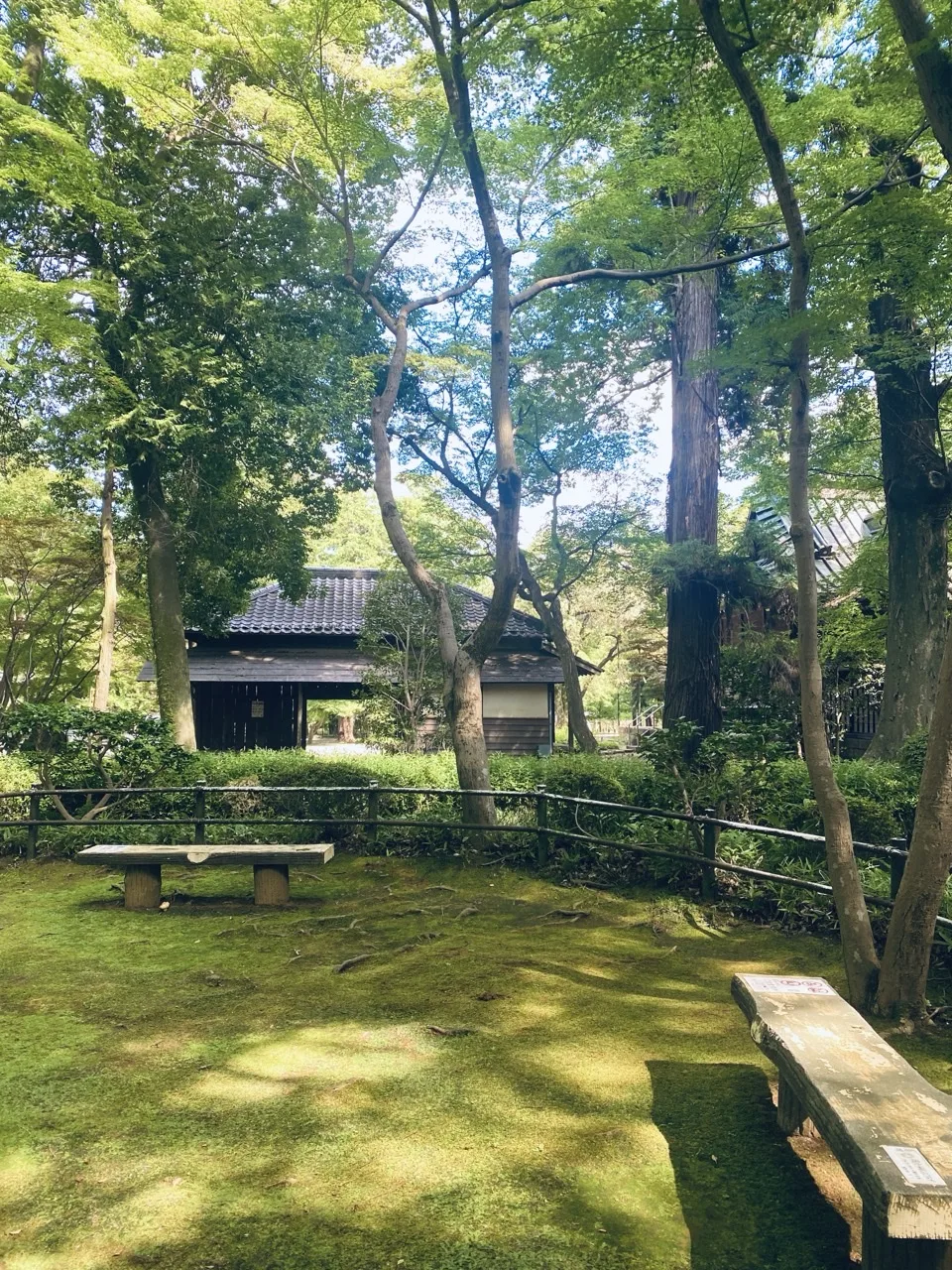 一面の苔地に木の腰掛けが二つ離れて置かれ、木立の影が落ちる。奥に低い柵と瓦屋根の建物。