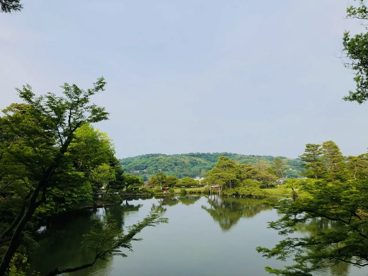 高い位置から見た広い池。対岸の岸辺が横一線に伸び、その奥に低い山並みと淡い空。両脇に木の枝。
