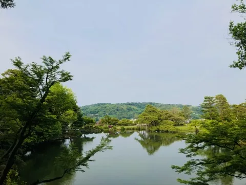 高い位置から見た広い池。対岸の岸辺が横一線に伸び、その奥に低い山並みと淡い空。両脇に木の枝。