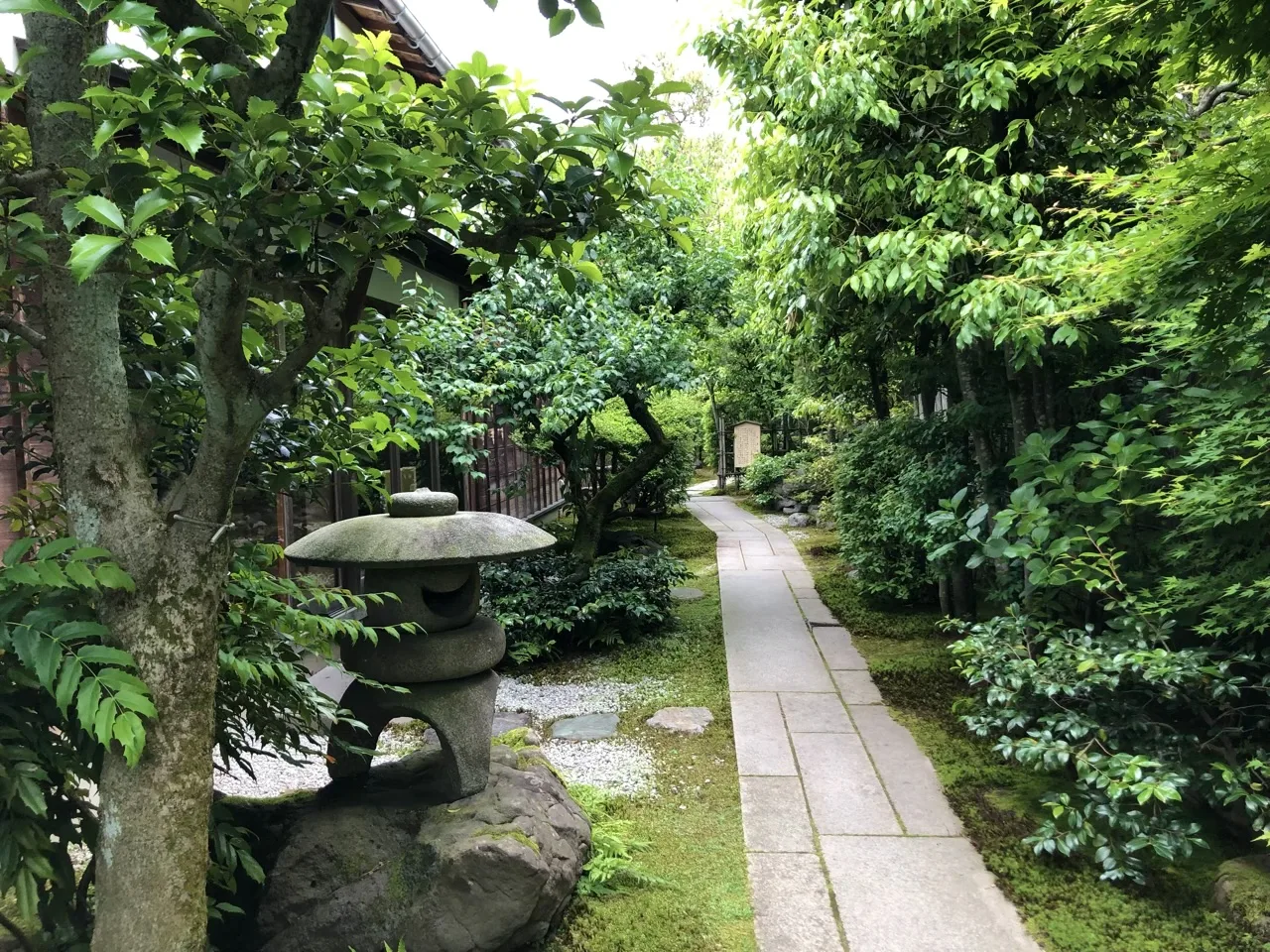 手前左に笠の大きな石灯籠が立ち、右手に切石を並べた細い園路が奥の木立へまっすぐ伸びる。両側は新緑の木と苔。