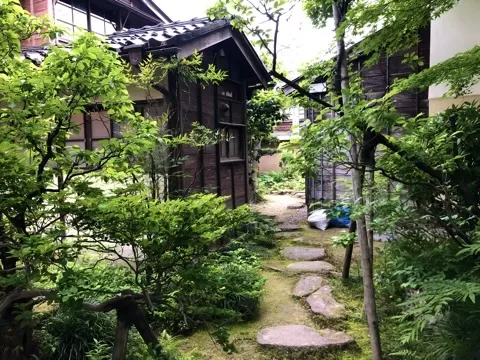新緑の楓に挟まれた細い通路に、平たい飛石が点々と続く。左右は黒い板壁と瓦屋根の木造建物、足元は苔。