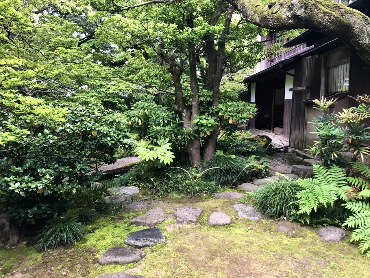 苔に覆われた地面に平たい石が点々と埋まり、奥に太い幹の木と羊歯、右手に木造家屋の縁側が見える。