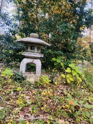 落葉が厚く積もった斜面に、笠と宝珠を載せた石灯籠が立つ。背後は常緑の低木と黄葉した木立で、灯籠の火袋は空いている。