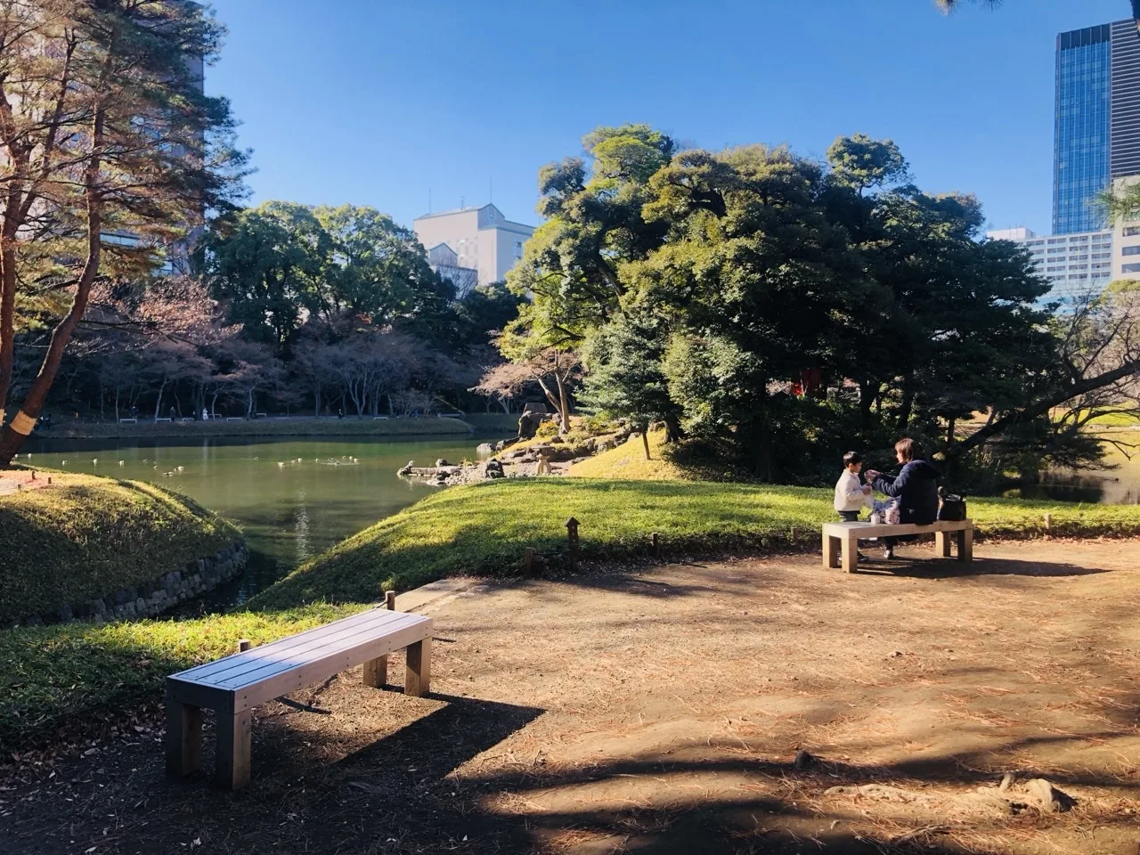 池の畔の広い土の面に、木の腰掛けが二つ離れて置かれている。奥の一つに人が座り、その先に池と芝の島、背後にビルと冬の木立、上は青空。
