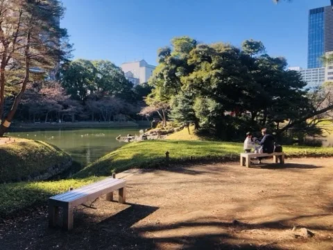 池の畔の広い土の面に、木の腰掛けが二つ離れて置かれている。奥の一つに人が座り、その先に池と芝の島、背後にビルと冬の木立、上は青空。