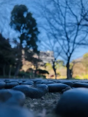 地面すれすれから見た、玉石を敷き詰めた地面。手前の石だけが大きく写り、奥の裸の木立と建物、青い空はぼけている。