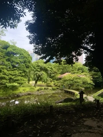 手前の暗い木陰ごしに、明るい池と芝、赤い屋根の東屋、奥に高層ビルが見える。