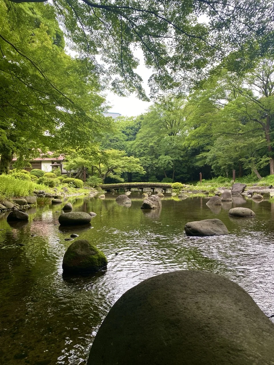 浅い池の水面に丸い石が点々と頭を出し、手前に大きな石が画面下を占める。奥に低い石橋と新緑の木立、左手に瓦屋根の建物が見える。