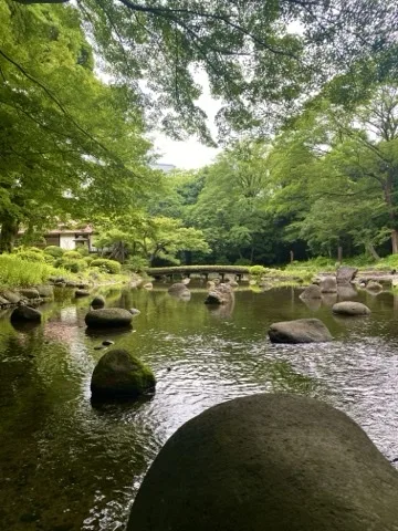 浅い池の水面に丸い石が点々と頭を出し、手前に大きな石が画面下を占める。奥に低い石橋と新緑の木立、左手に瓦屋根の建物が見える。