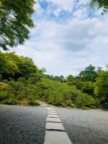 広い砂利敷きの面を、四角い切石が一列に並んで奥へ続く。その先は刈込まれた松の斜面で、上半分は雲の多い明るい空。