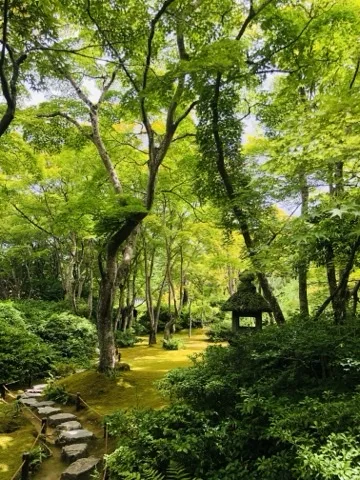 楓の林の下に一面の苔庭が広がり、右手に茅葺屋根の小さな建物、左下に飛石の道。