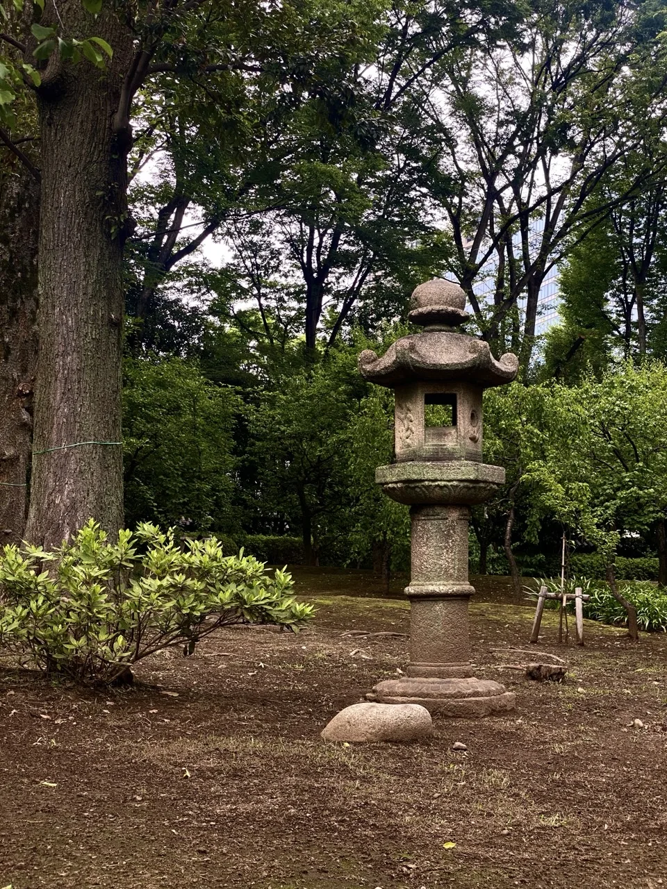 庭の中央に石灯籠が立ち、周囲を大木と低木が囲む。背後に高層ビルがわずかに見える。
