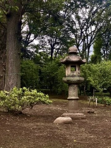庭の中央に石灯籠が立ち、周囲を大木と低木が囲む。背後に高層ビルがわずかに見える。