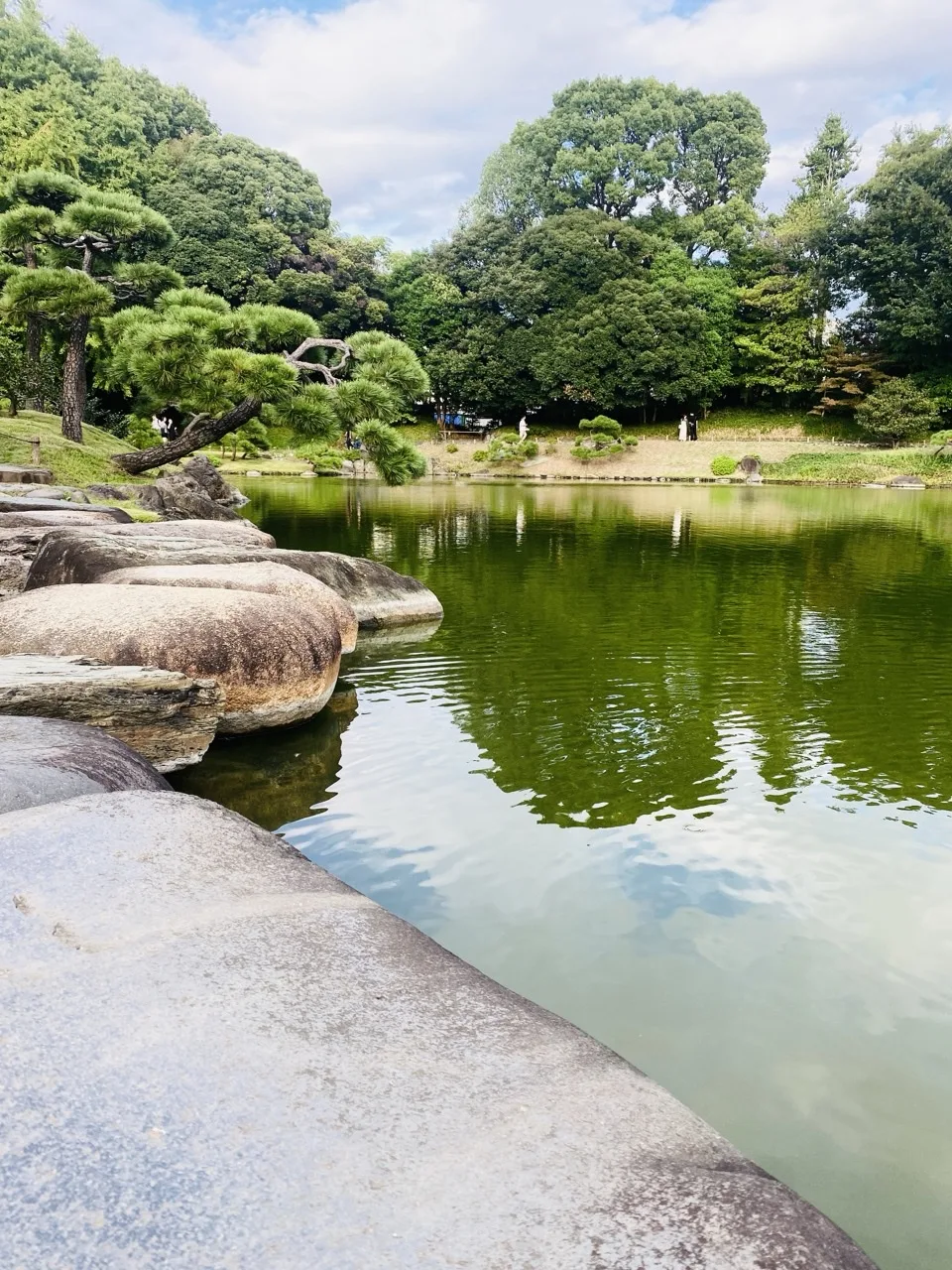 手前左に大きな平石が連なって水際を作り、緑色の池が広がる。対岸には枝を張った松と木立、その姿が水面に映っている。