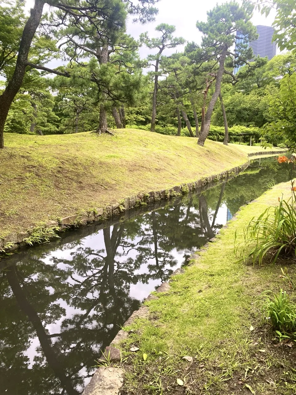 堀のような細い水路に松と空が映り込む。対岸は芝生の土手、奥に高層ビル。