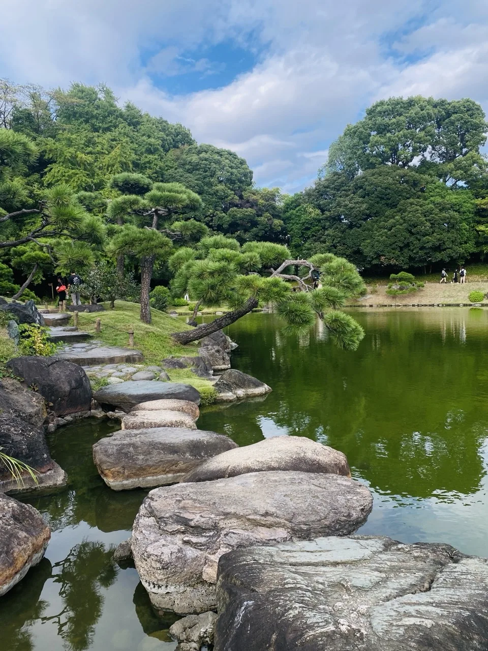 池の中に大きな平たい飛石が点々と続く。左手に松と苔の岸、奥に緑の水面と木立、青空。