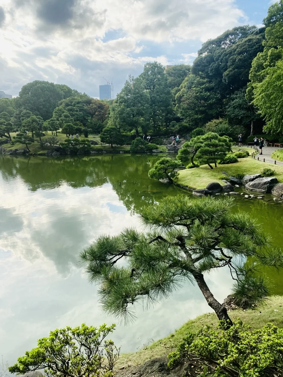 広い池の水面に白い雲が映る。右手に枝を横へ広げた松と芝の岸、奥に木立と遠くのビル。