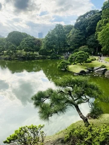 広い池の水面に白い雲が映る。右手に枝を横へ広げた松と芝の岸、奥に木立と遠くのビル。