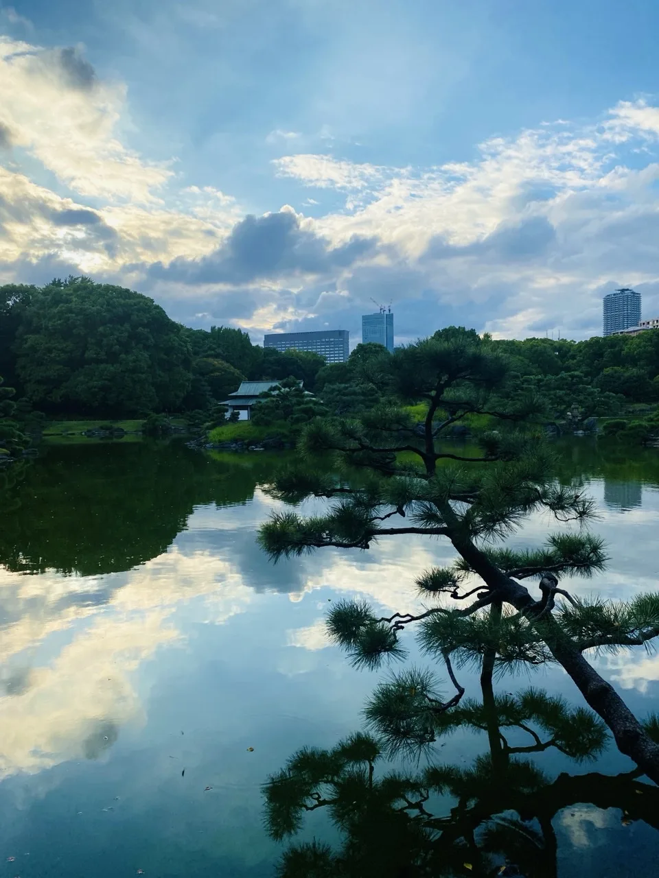 静かな池の水面に青空と雲が鏡のように映り、右手前から黒松の枝が水面に向かって伸びている。対岸には木立と瓦屋根の建物、その奥に高層ビルが見える