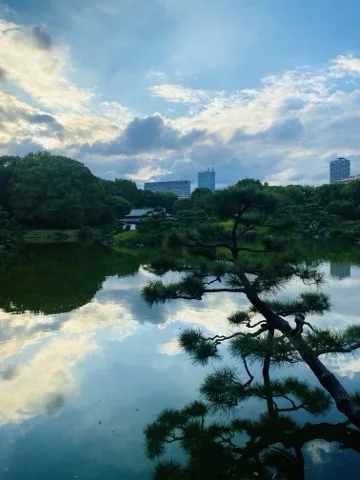 静かな池の水面に青空と雲が鏡のように映り、右手前から黒松の枝が水面に向かって伸びている。対岸には木立と瓦屋根の建物、その奥に高層ビルが見える