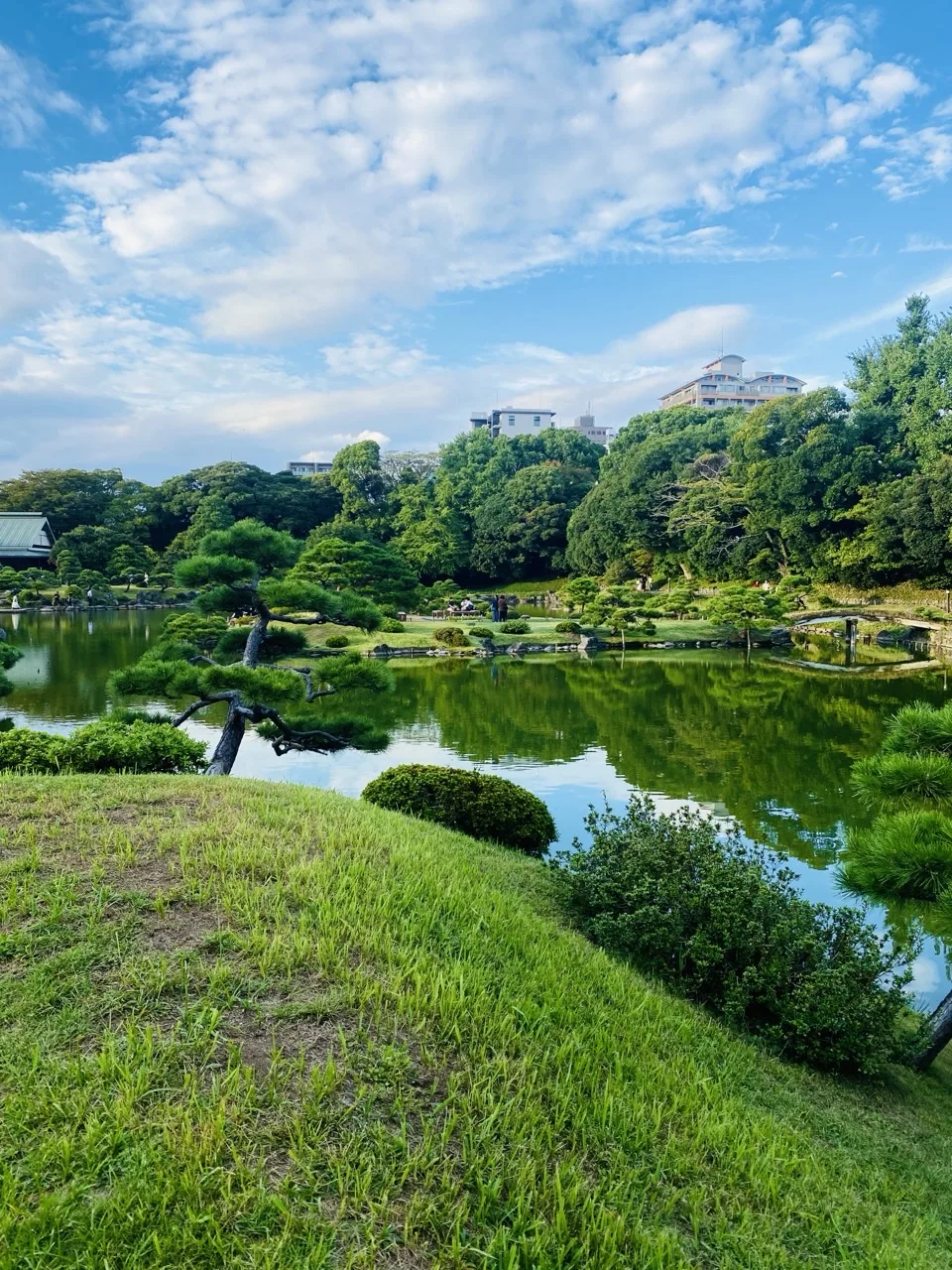 手前に芝の丘、その向こうに池と対岸の松や刈り込みが並ぶ。遠くにビル、青空と白い雲。