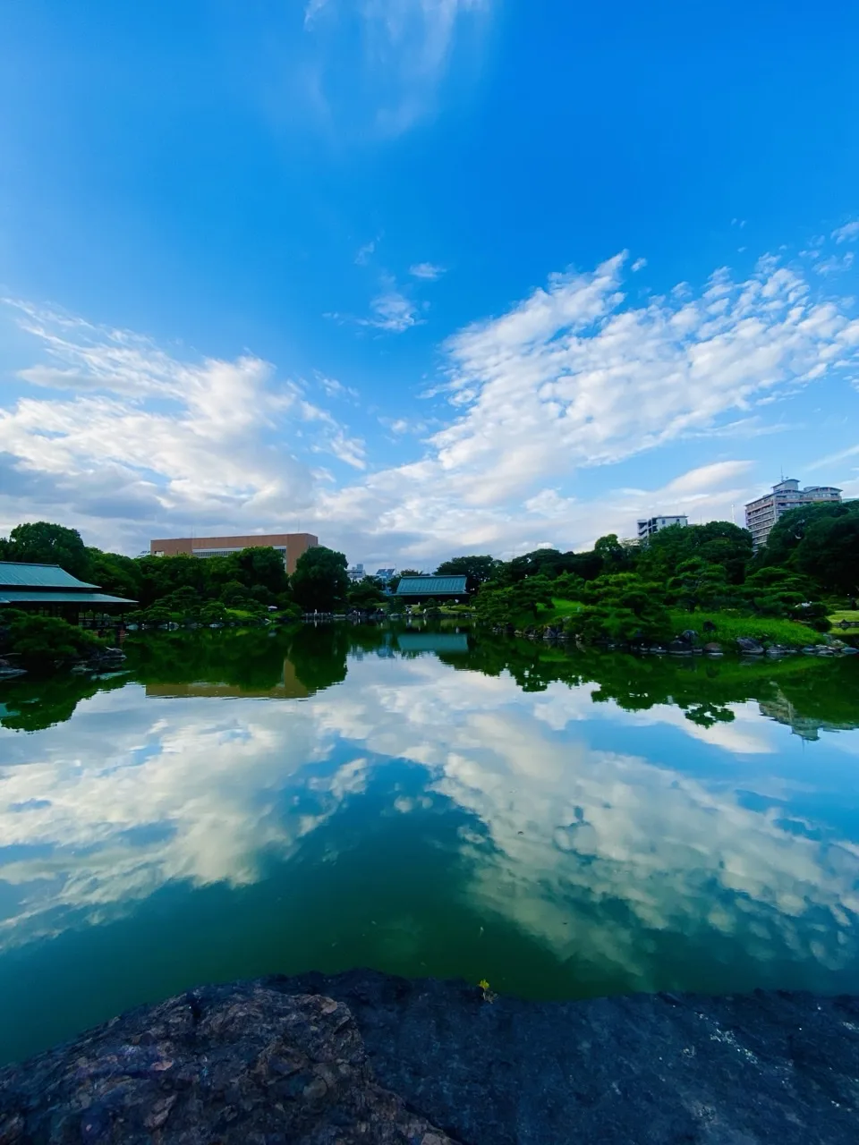 朝の庭園の入口を思わせる木造建築の気配。