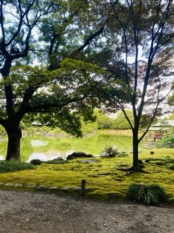 大きな木の下に明るい緑の苔が一面に広がり、その先に池と対岸の建物。手前に砂利の道。