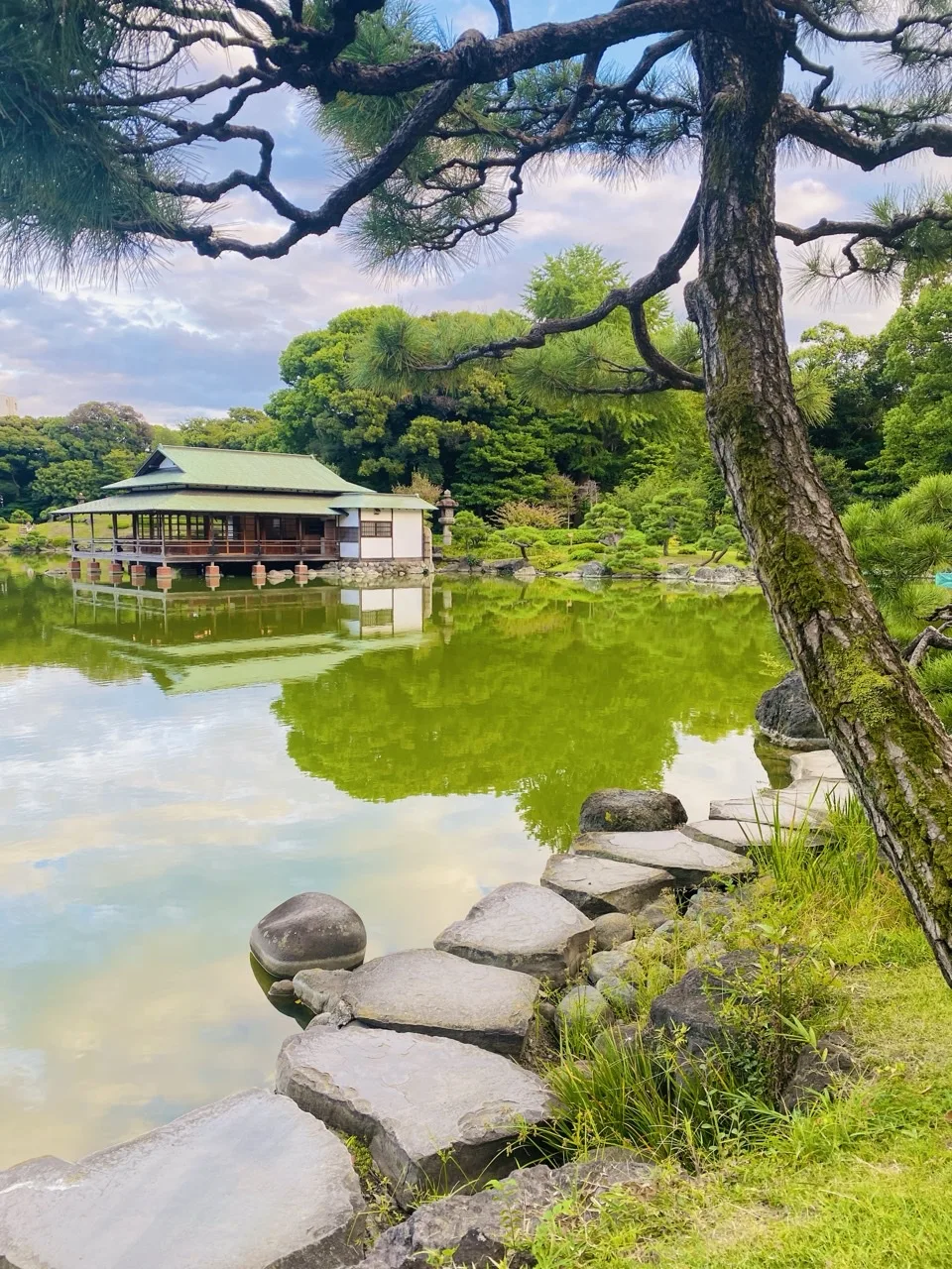 緑がかった池の水面に、瓦屋根と縁側をもつ木造の建物が映り込んでいる。右手前には幹の太い松が斜めに立ち、その足元から平たい石を並べた石畳が池際へと続く。空には青空と薄い雲が広がる