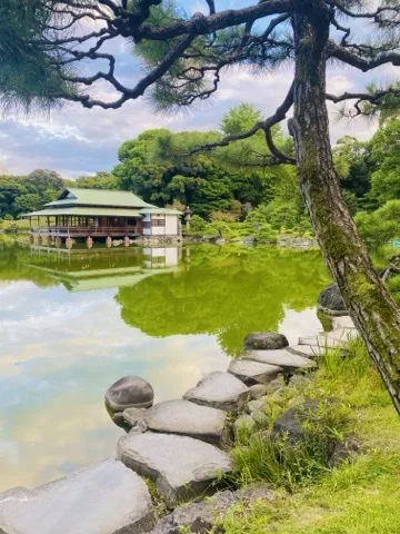 緑がかった池の水面に、瓦屋根と縁側をもつ木造の建物が映り込んでいる。右手前には幹の太い松が斜めに立ち、その足元から平たい石を並べた石畳が池際へと続く。空には青空と薄い雲が広がる
