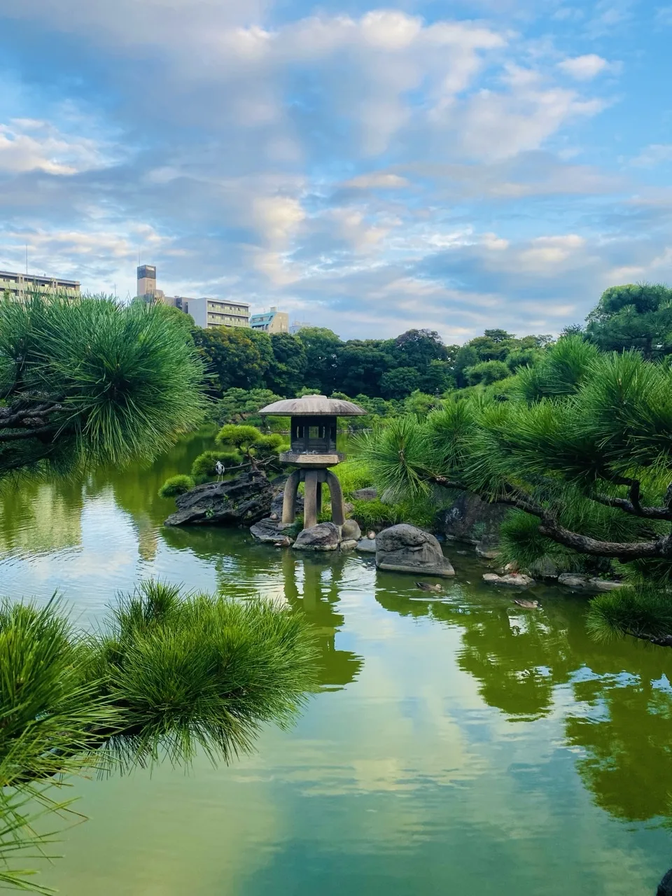 穏やかな池の中央付近に、四本脚で笠の大きな石灯籠が岩の島の上に立っている。左右からは松の枝が画面に大きく差し掛かり、水面には空と雲、灯籠の姿が映り込む。奥には木立の稜線と園外のビル群、広い青空と薄雲が広がる
