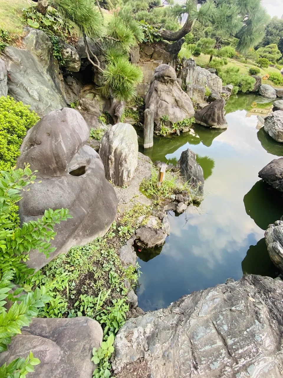 大小の庭石が積まれた岩組を高い位置から見下ろす。右側に濃い緑の水面、上部に松の枝がある。