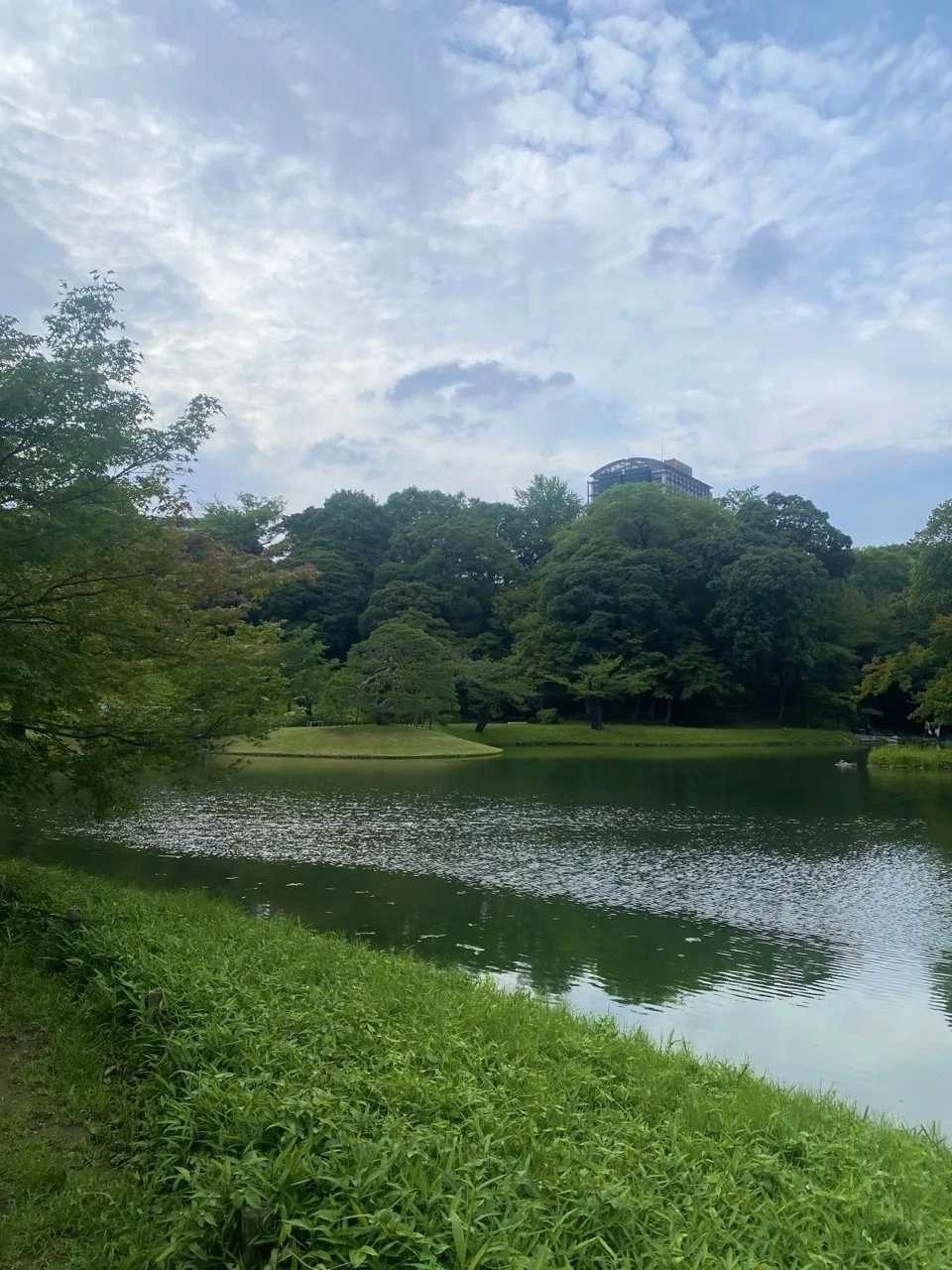 池と中の島の緑地。奥の樹林越しに高層ビルが見える。曇り空。横位置の写真。