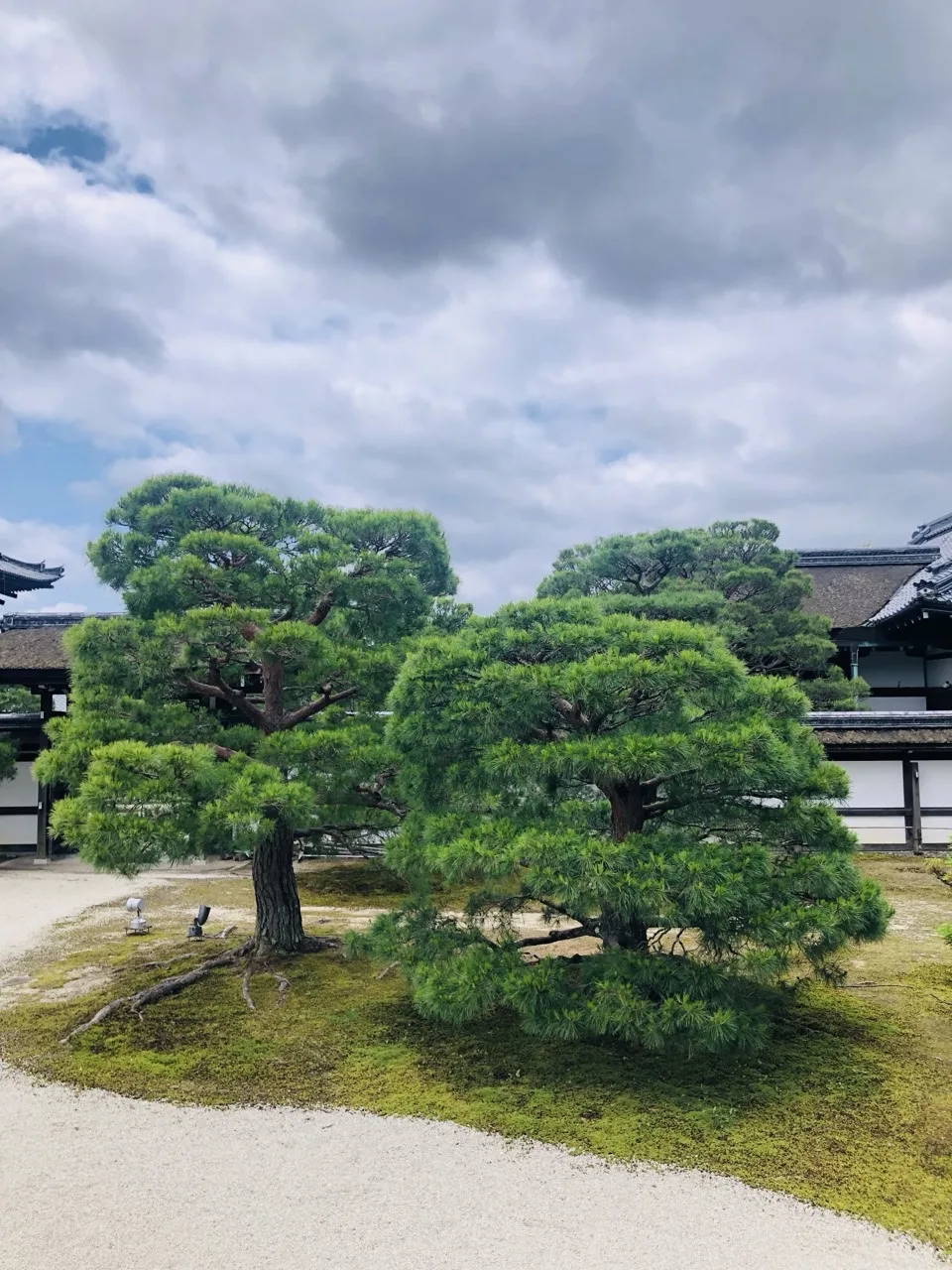 白砂の面の奥に、刈込まれた松が二本並んで枝を横に広げる。背後は白壁と瓦屋根の建物、上は雲の多い空。足元は苔。