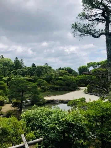 高い位置から庭を見下ろす。中央に白砂の州を抱えた池があり、周囲に刈込まれた松と木立、右手に大きな松の枝が張り出す。空は一面の厚い雲。
