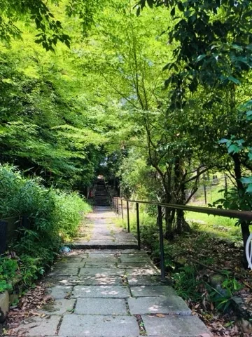 石畳の道が奥の石段へ向かって延び、右に黒い手すりが続く。両側から新緑の枝が張り出して道を覆い、路面に木漏れ日が落ちている。
