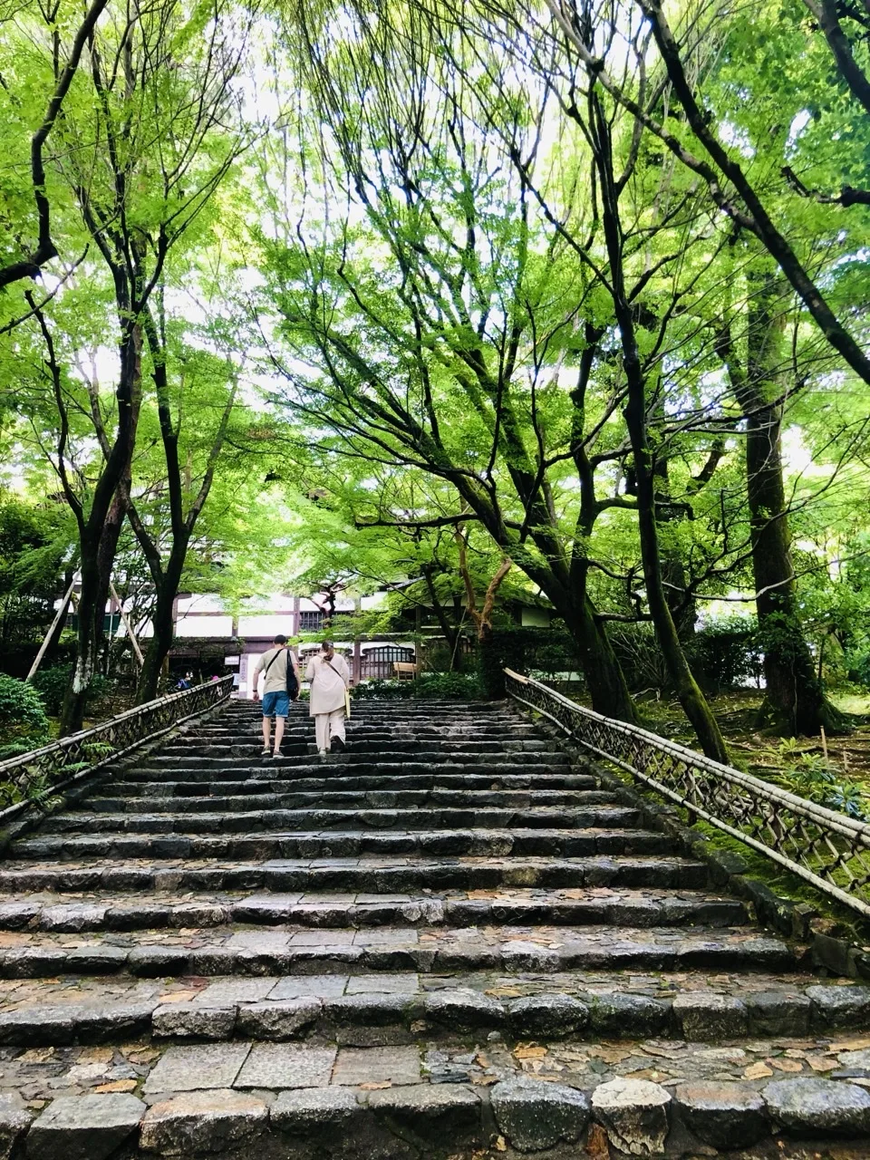 新緑の木立の下に続く広い石段。段は幅が広く浅い。上方に人が二人歩き、奥に建物。