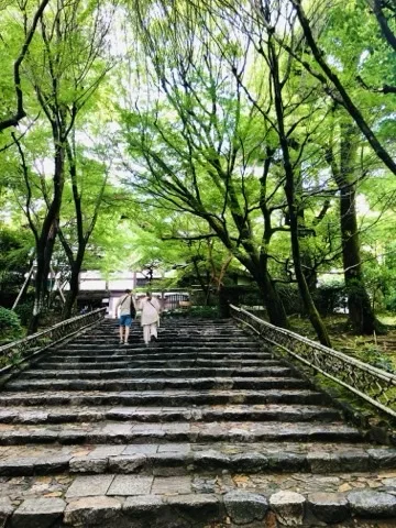 新緑の木立の下に続く広い石段。段は幅が広く浅い。上方に人が二人歩き、奥に建物。